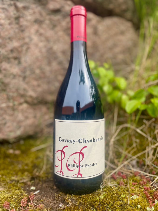 Philippe Pacalet - Gevrey-Chambertin 2024