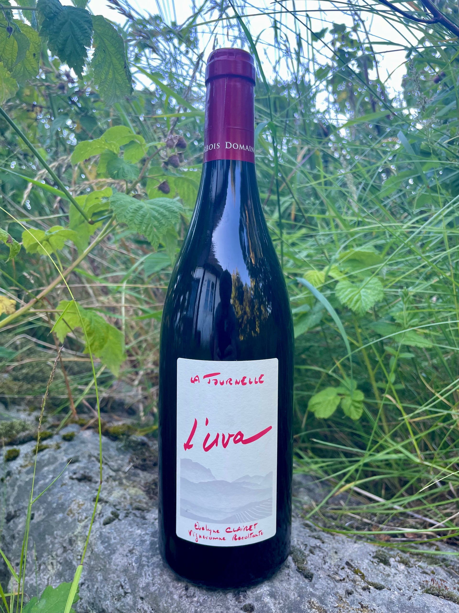 Domaine de la Tournelle, l'Uva Arbosiana 2023 – Den Flaskehalsen