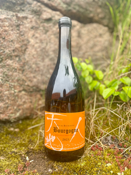 Lou Dumont - Bourgogne Blanc 2023
