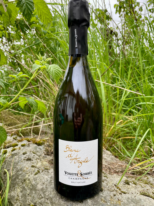Vouette et Sorbée, Blanc d'Argile 2022, Champagne