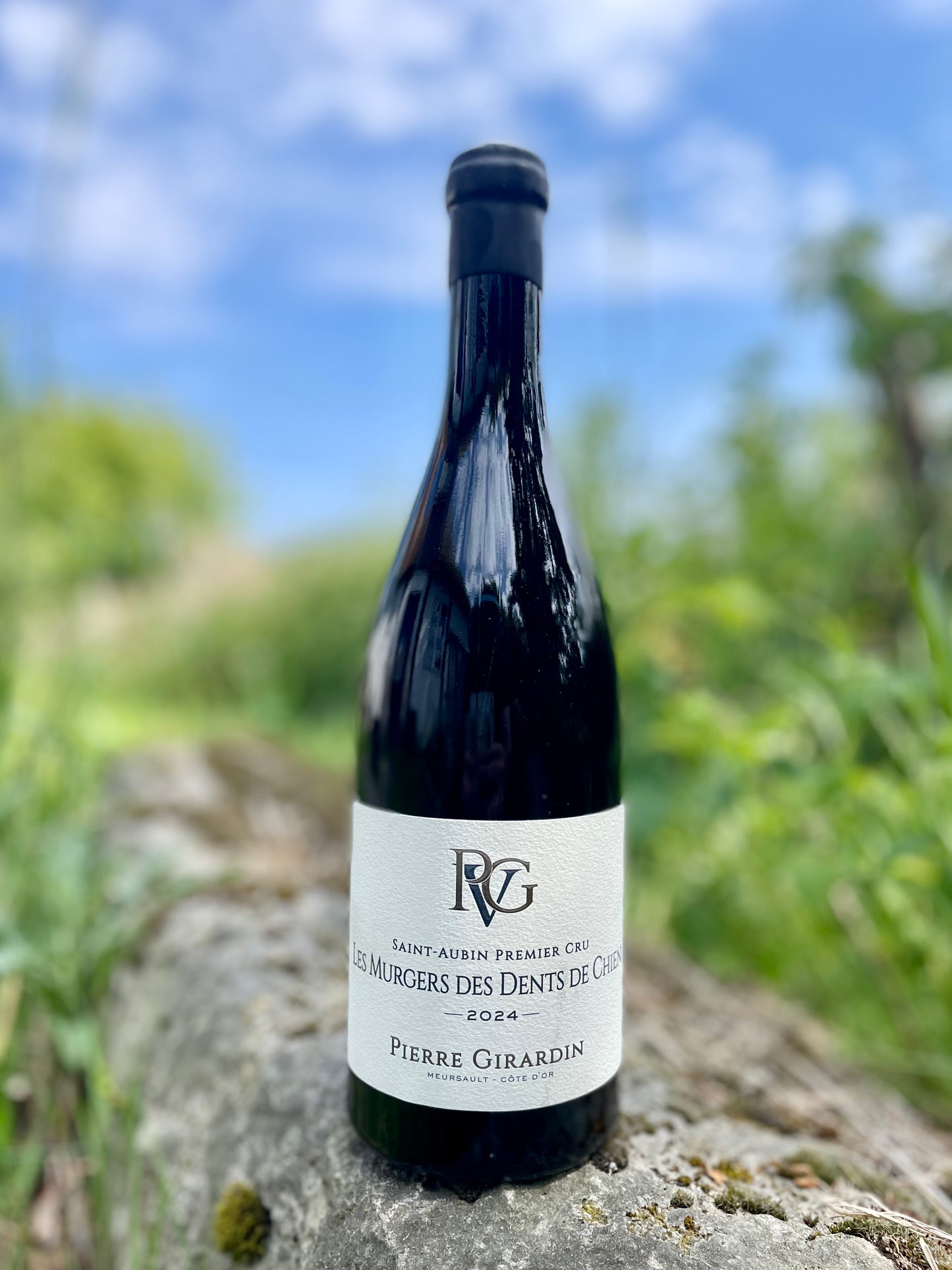 Pierre Girardin, Saint Aubin 1 er Cru, Les Murgers, Des Dents de Chien 2024