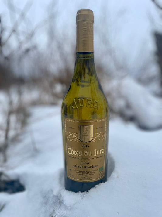 Claude Buchot - Charles Baudelaire 2019