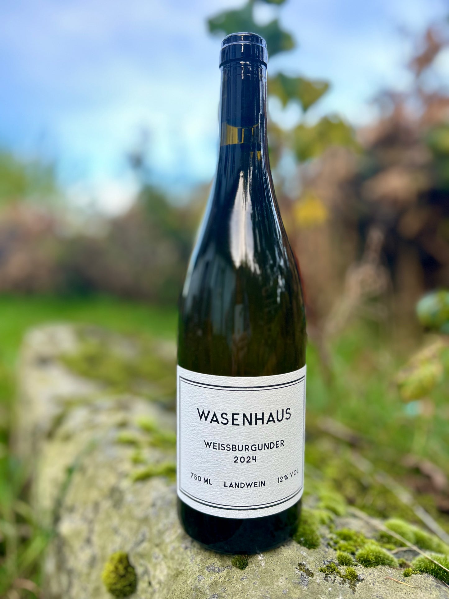 Wasenhaus - Weissburgunder 2024