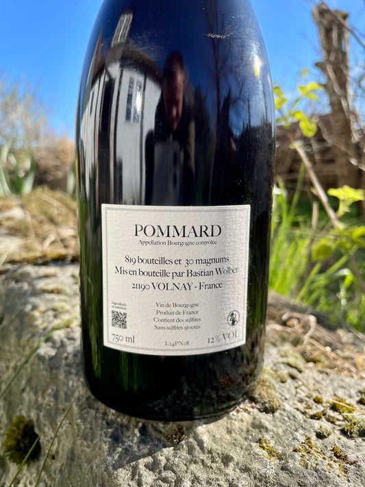 Bastian Wolber, Laisse Tomber - Pommard 2024