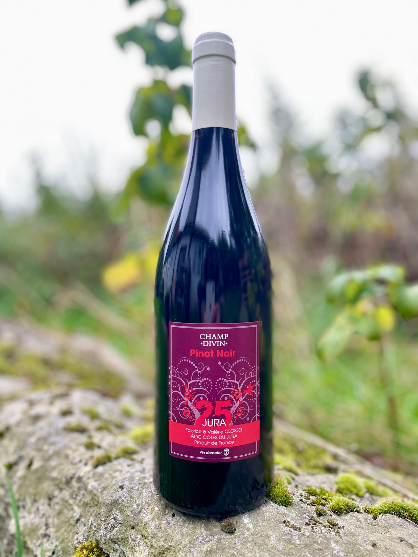 Champ Divin, Pinot Noir 2025