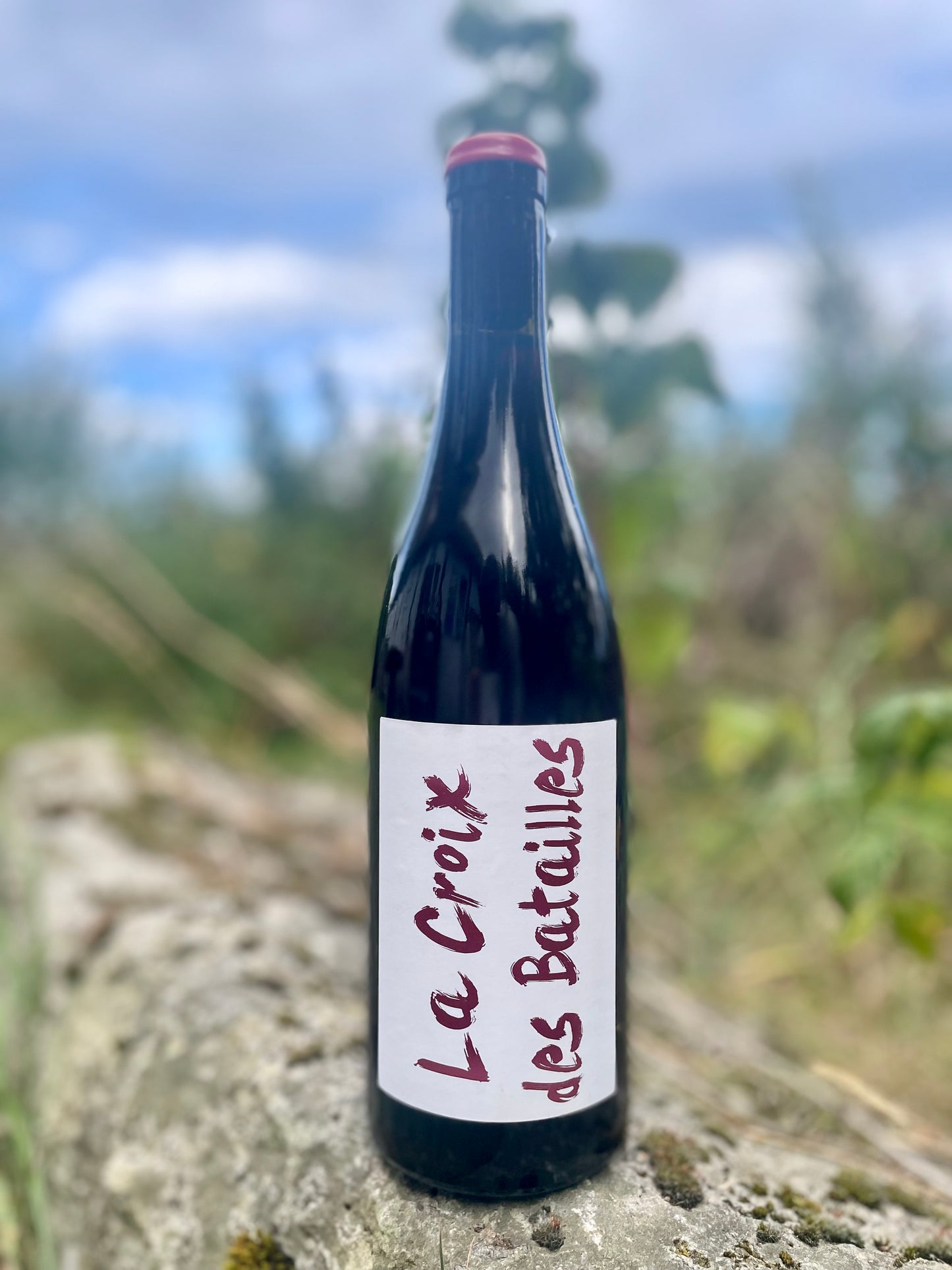 Anne et Jean-François Ganevat, La Croix de Batailles 2024