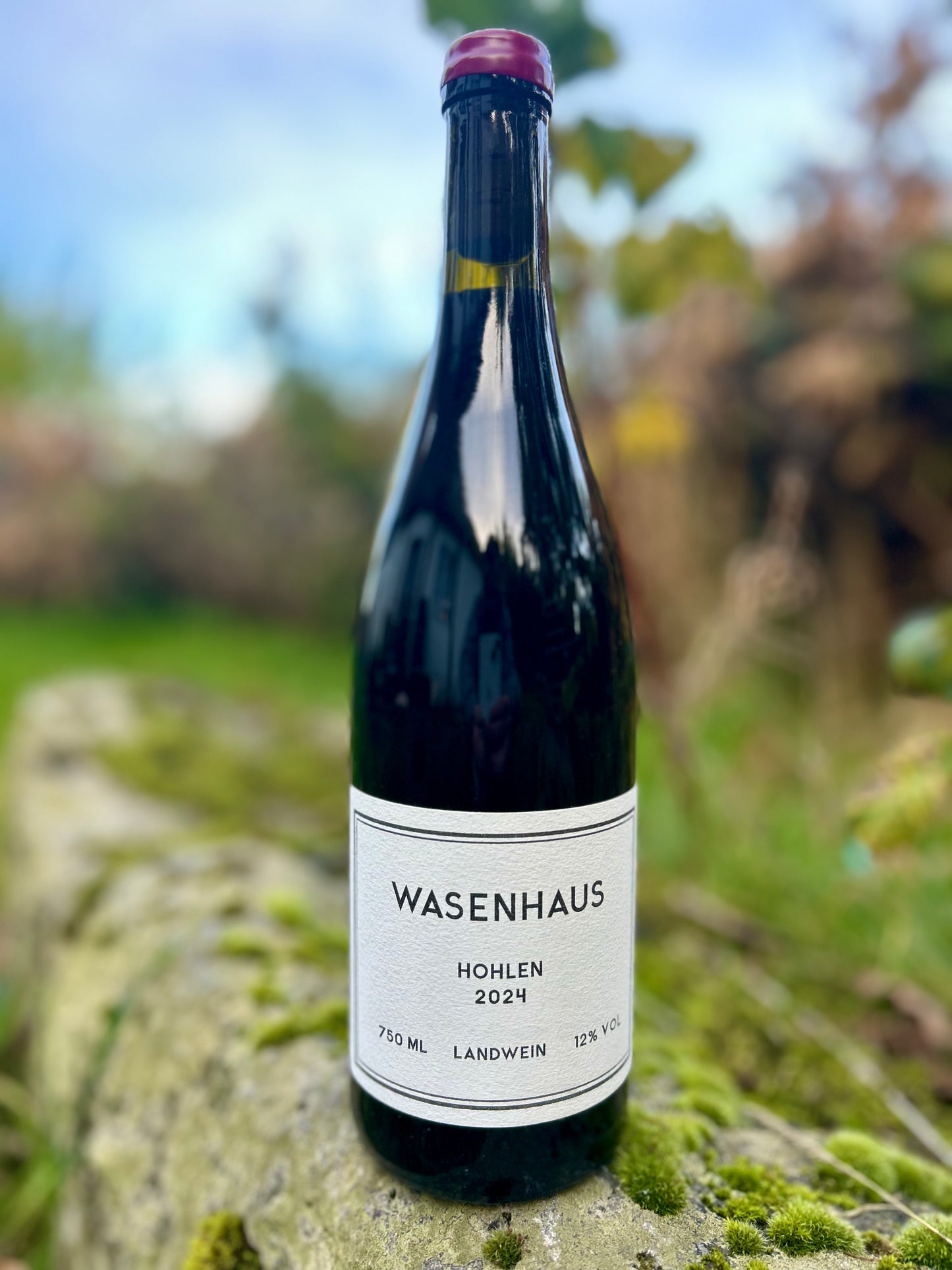Wasenhaus - Hohlen Spätburgunder 2024