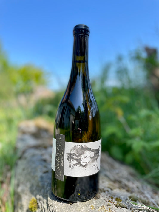 Domaine Pattes Loup, Chablis 1er Cru "Beauregard" 2022