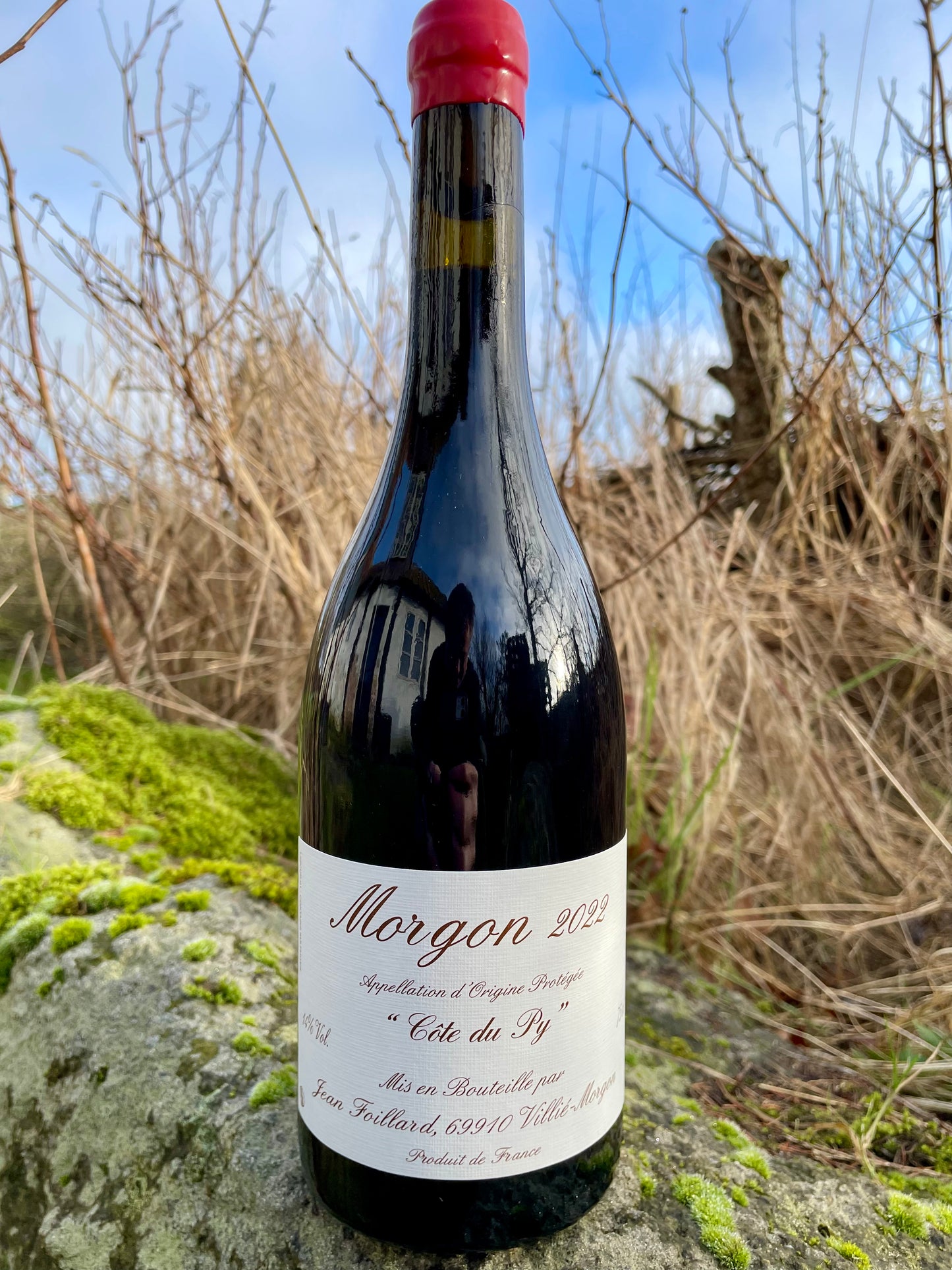 Agnès & Jean Foillard - Morgon Côte du Py '22