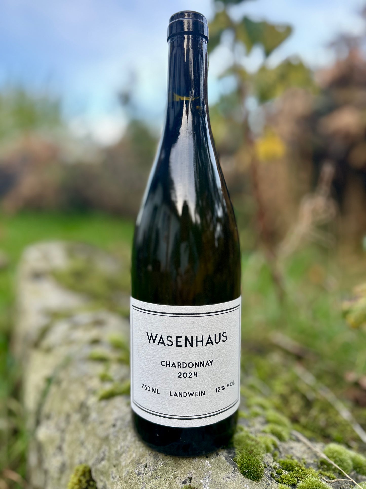 Wasenhaus - Chardonnay 2024