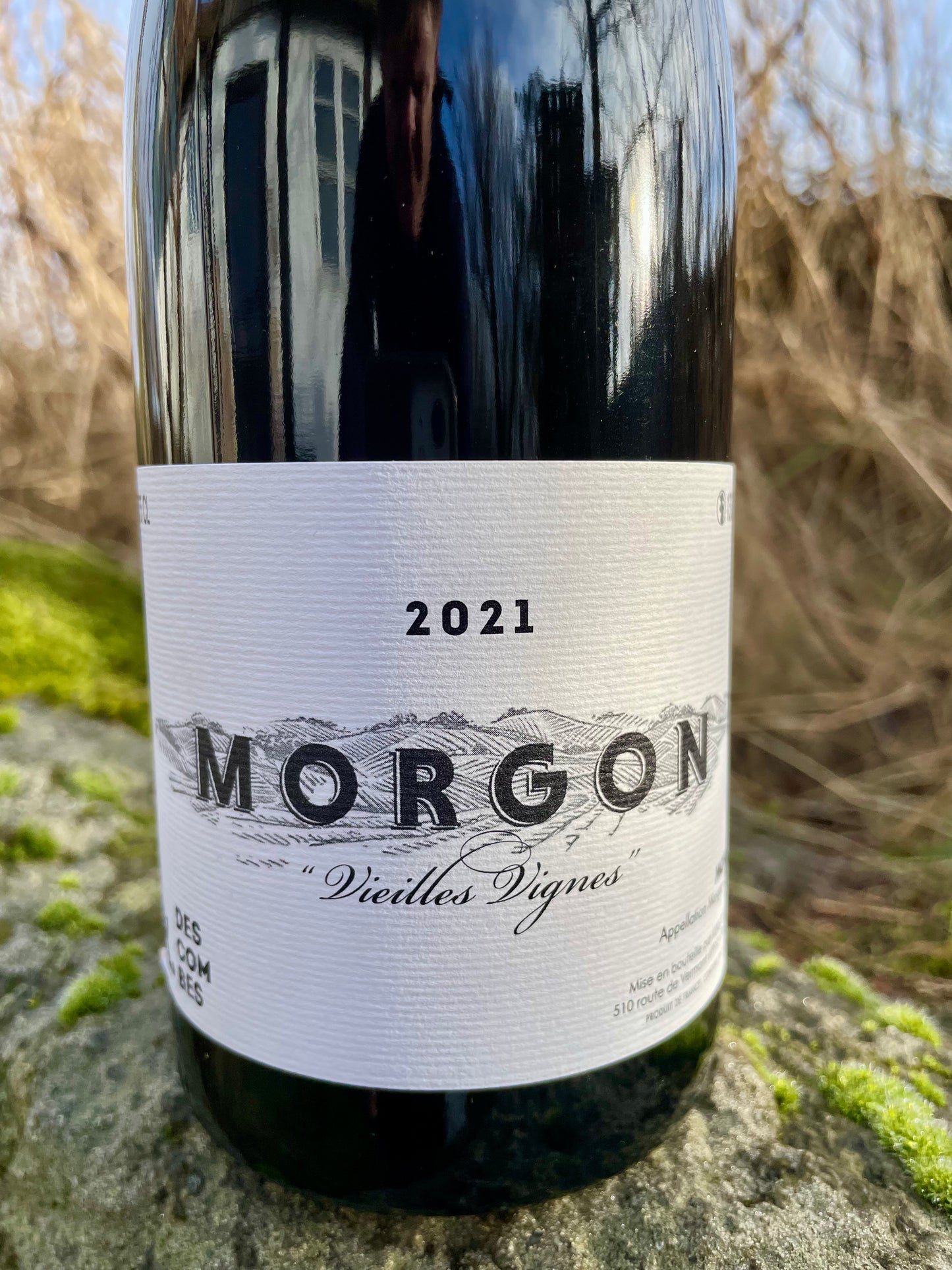 Kewin Descombes - Morgon Vieilles Vignes '21