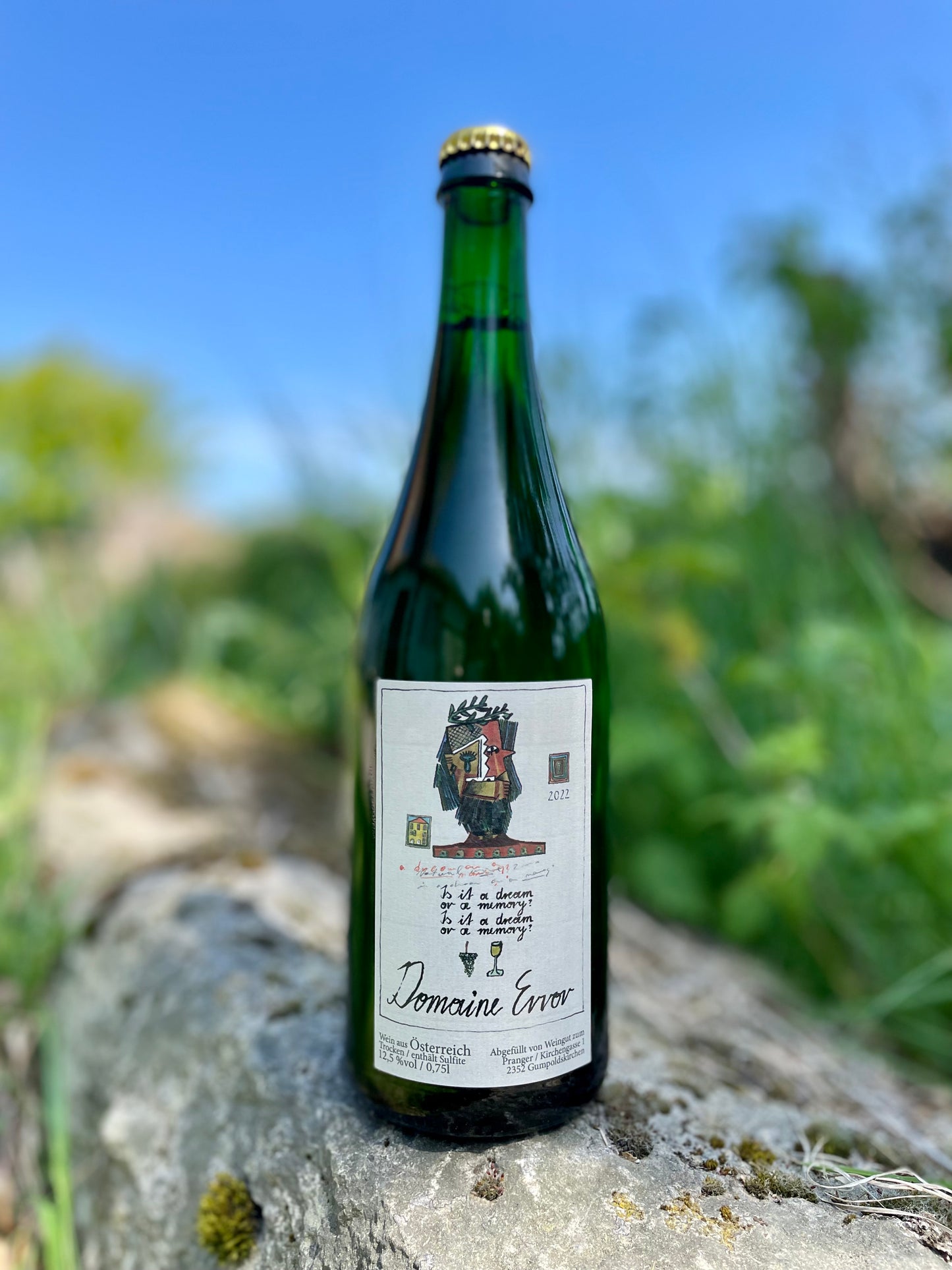 Domaine Error - Is it a dream or a memory? 2022