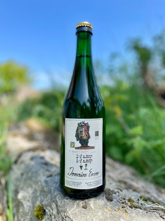 Domaine Error - Is it a dream or a memory? 2022