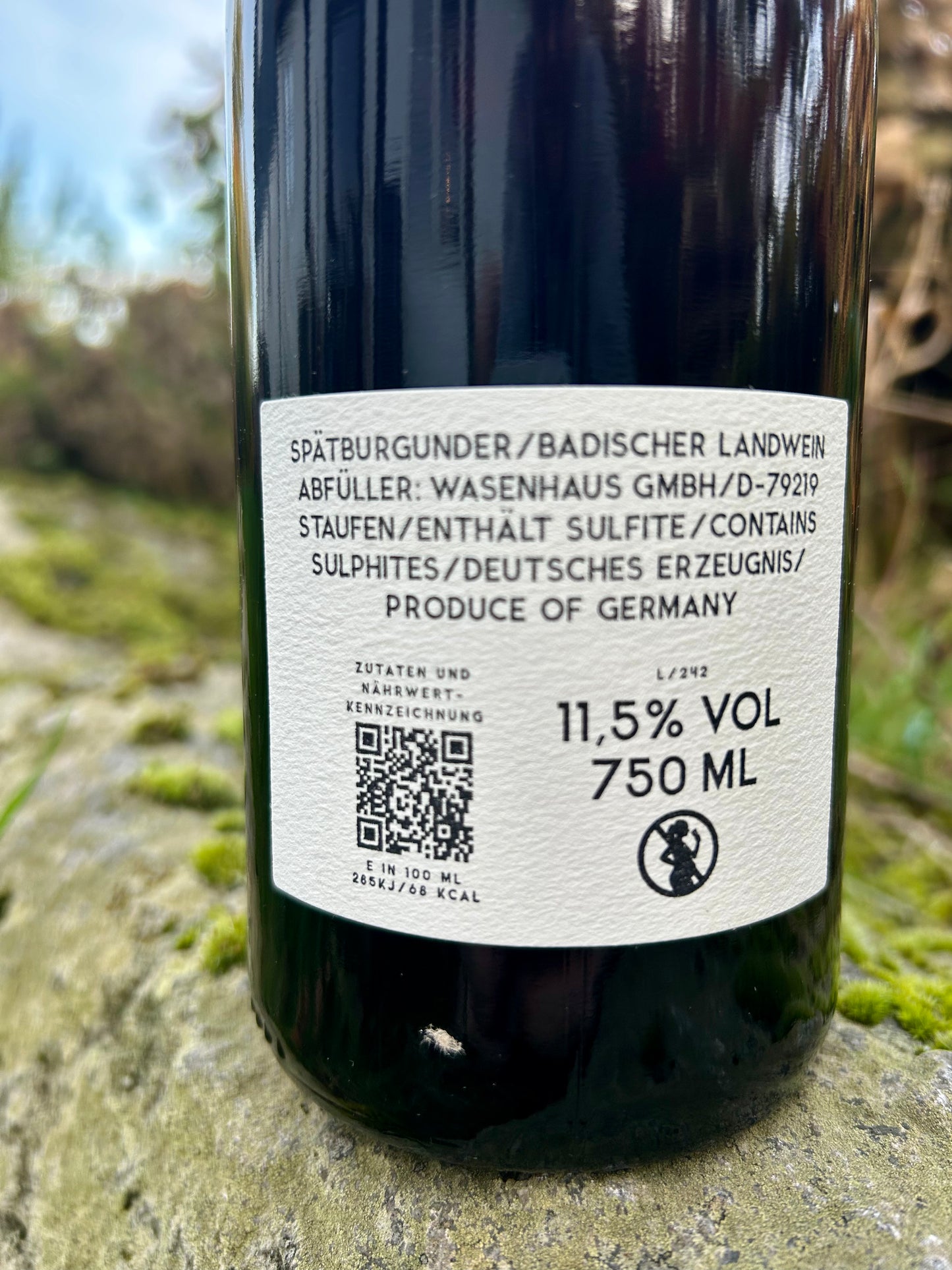 Wasenhaus - Spätburgunder 2024