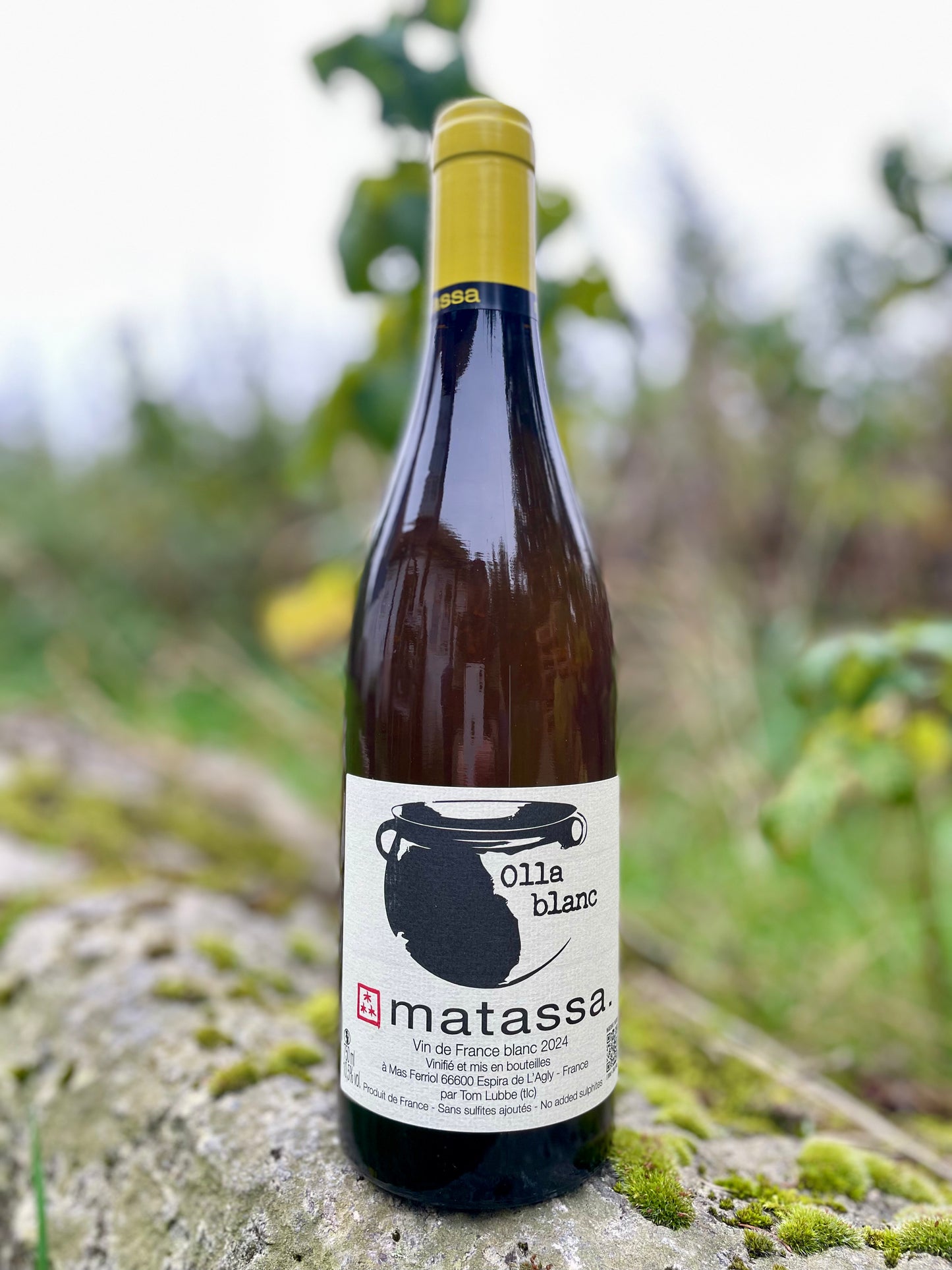 Matassa - Olla Blanc 2024