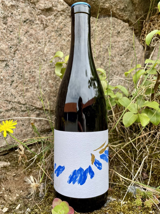 Hylde nr. 151) Athénaïs Béru - AmalGamay 2023