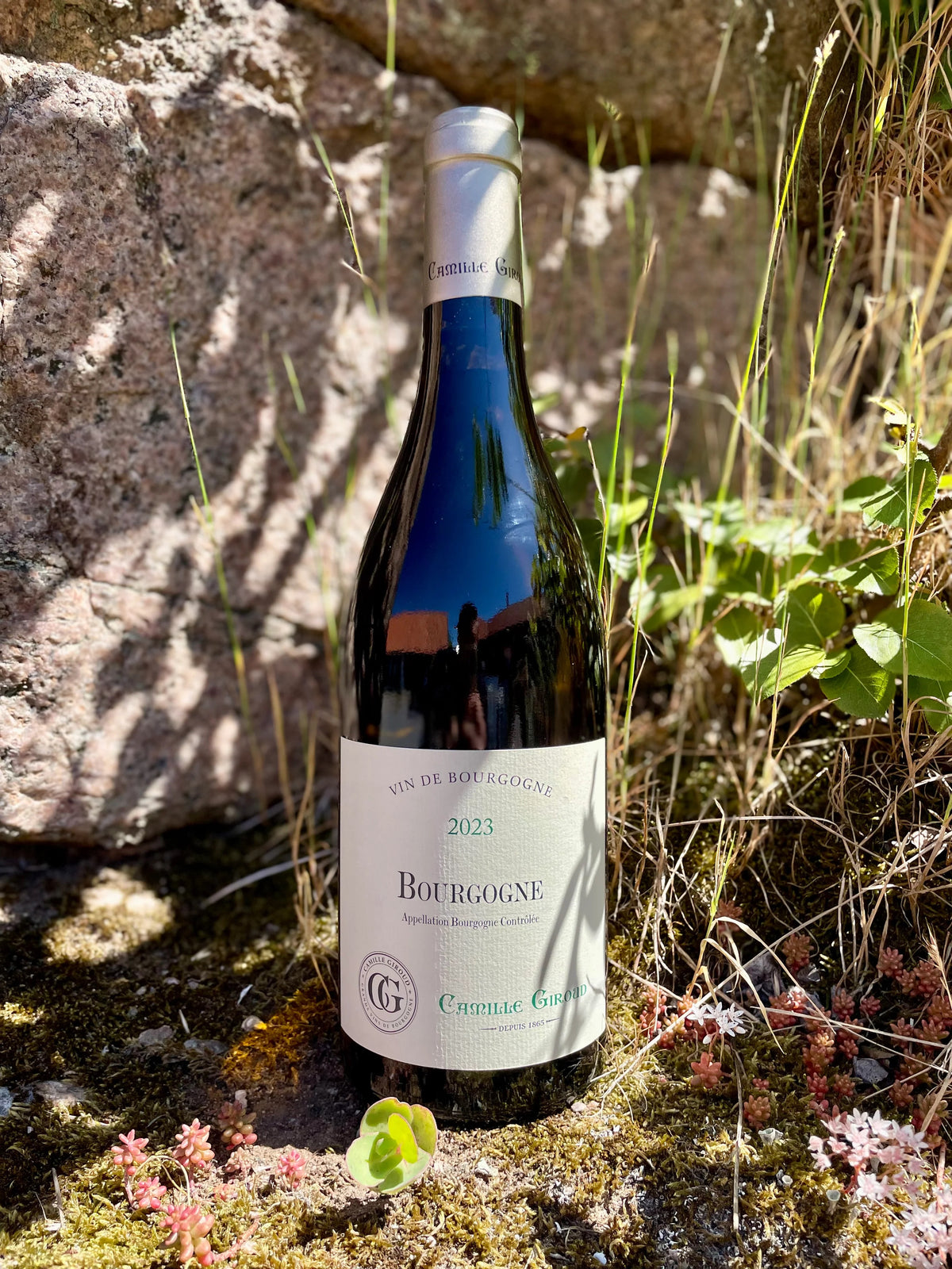 Hylde nr. 108) Camille Giroud - Bourgogne Blanc 2023