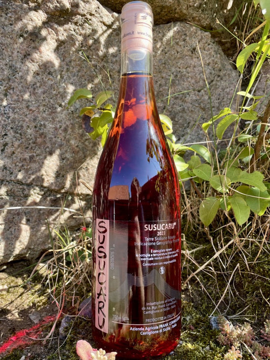 * Cornelissen - Susucaru Rosato '23