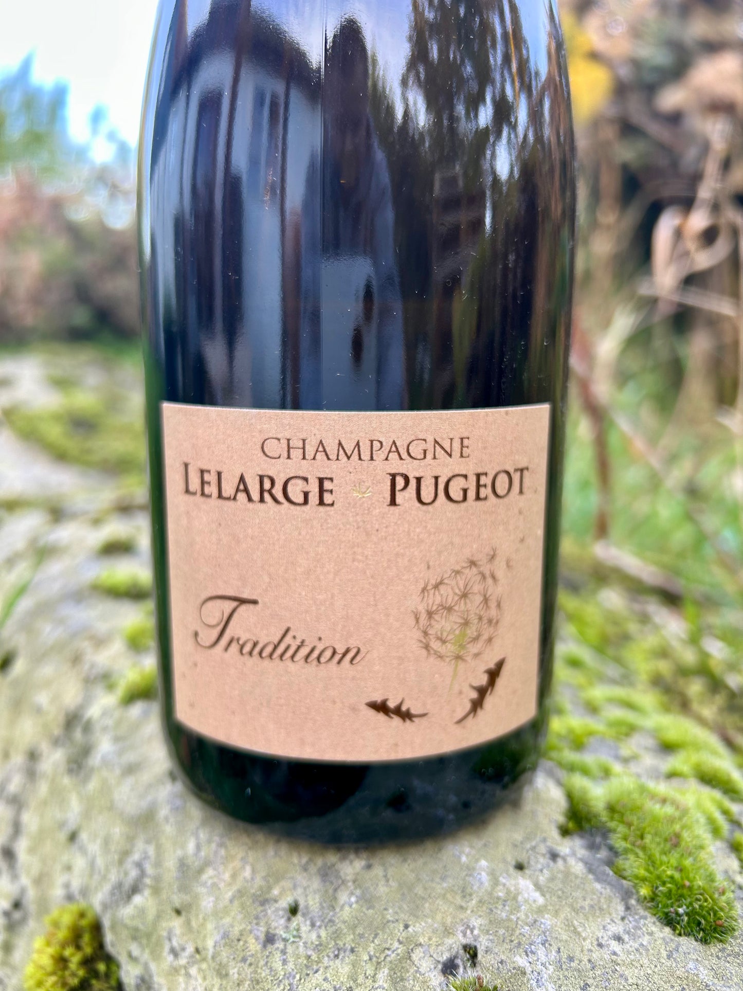 Lelarge Pugeot,Tradition Brut Nature 'NV
