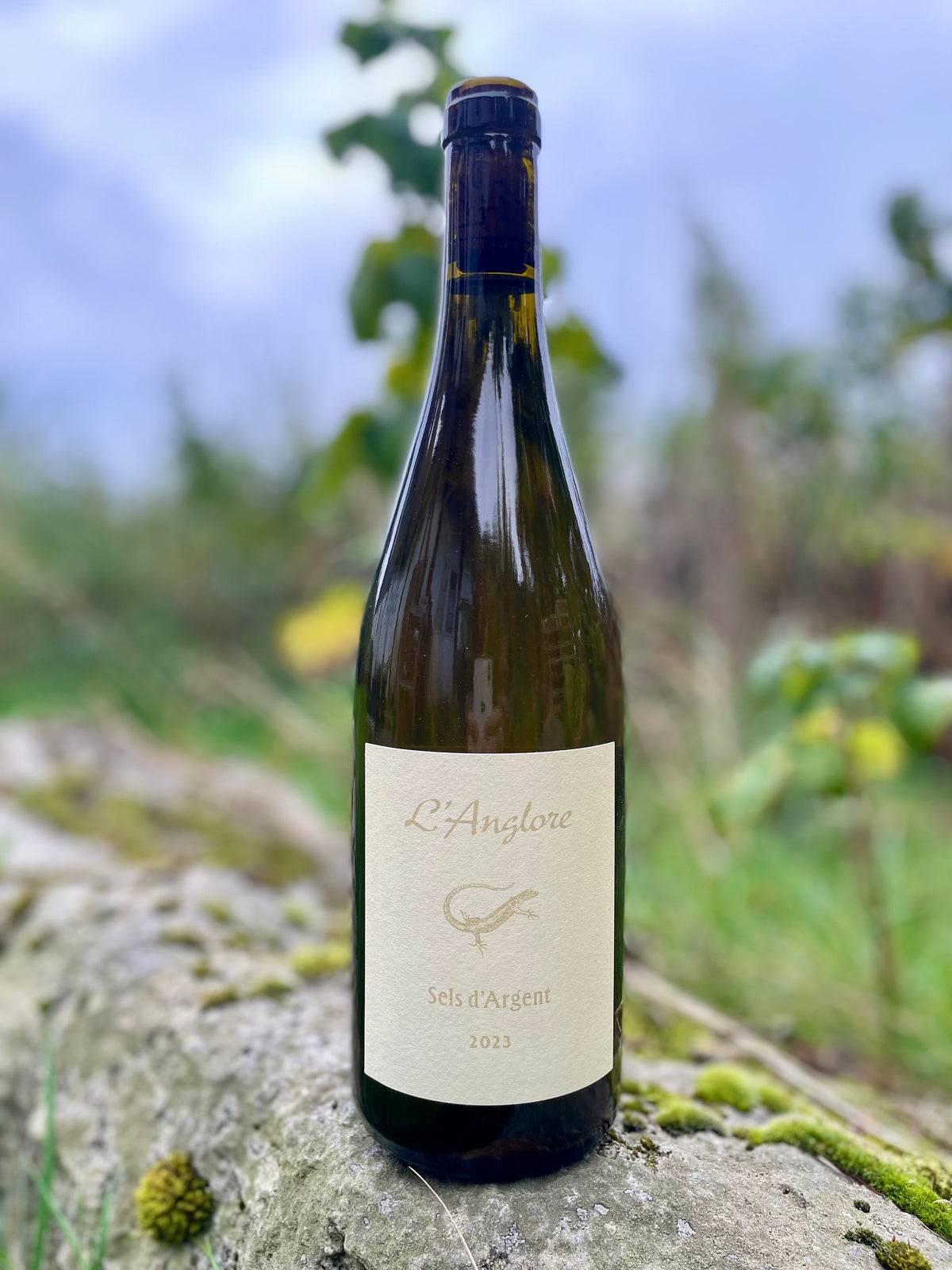 L'Anglore, Eric Pfifferling - Sels d'Argent VdF Blanc 2023