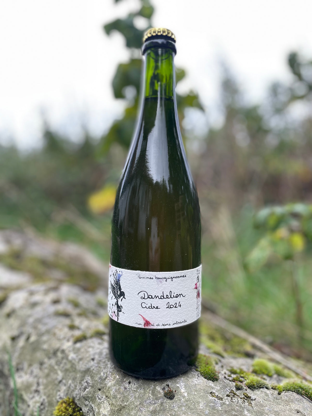 Siftemøllevejen - cider with elderflower 2018