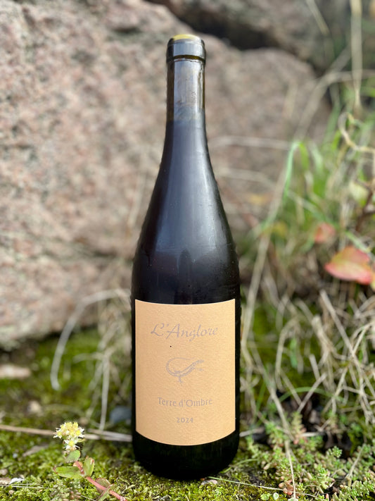 L'Anglore, Eric Pfifferling - Terre d'Ombre 2024