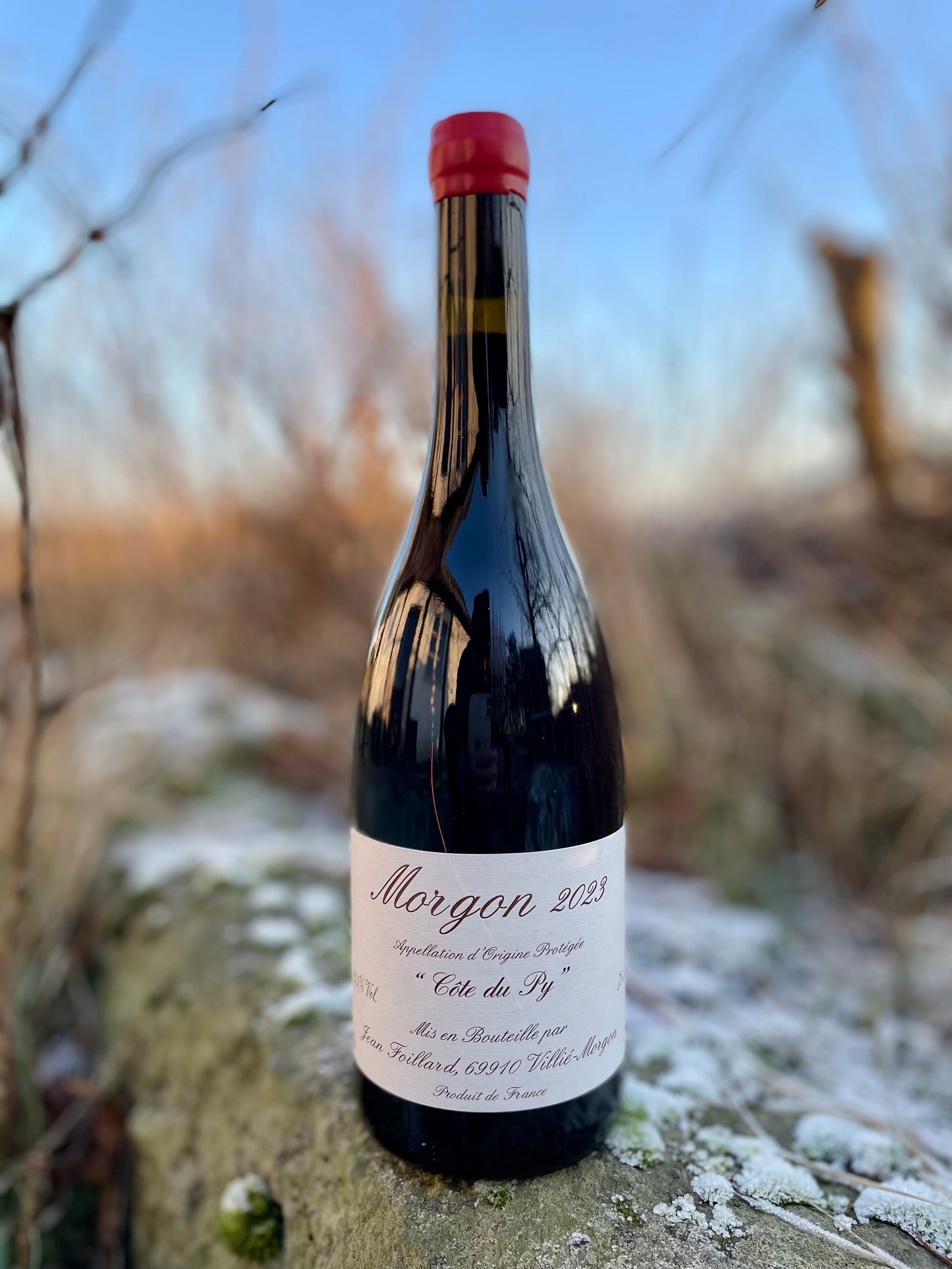 Agnès & Jean Foillard - Morgon Côte du Py 2022 Magnum