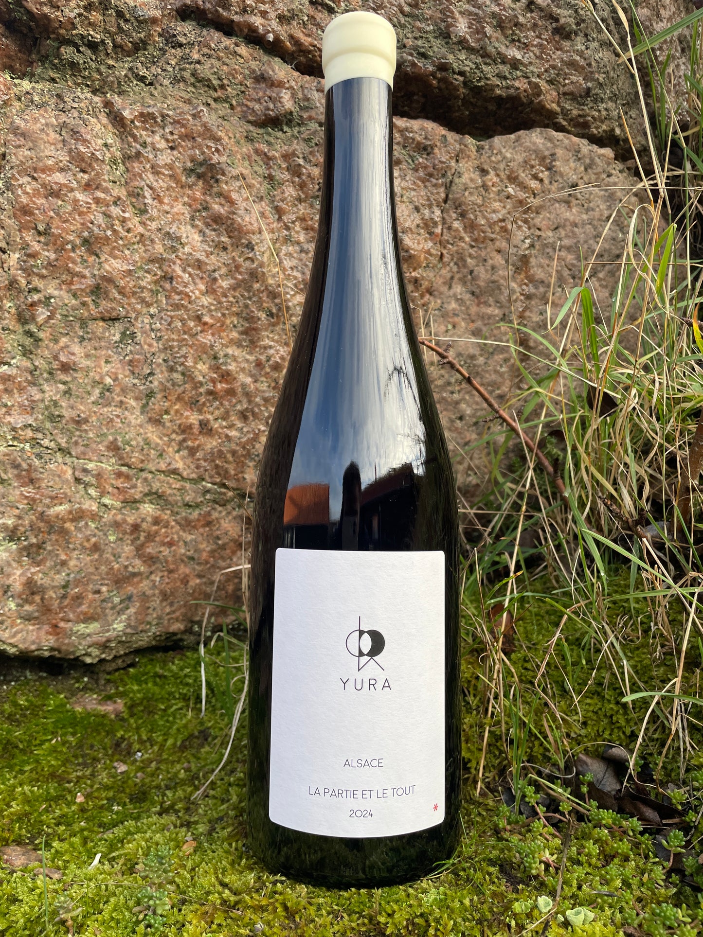 Jintaro Yura, La Partie et le Tout 2024