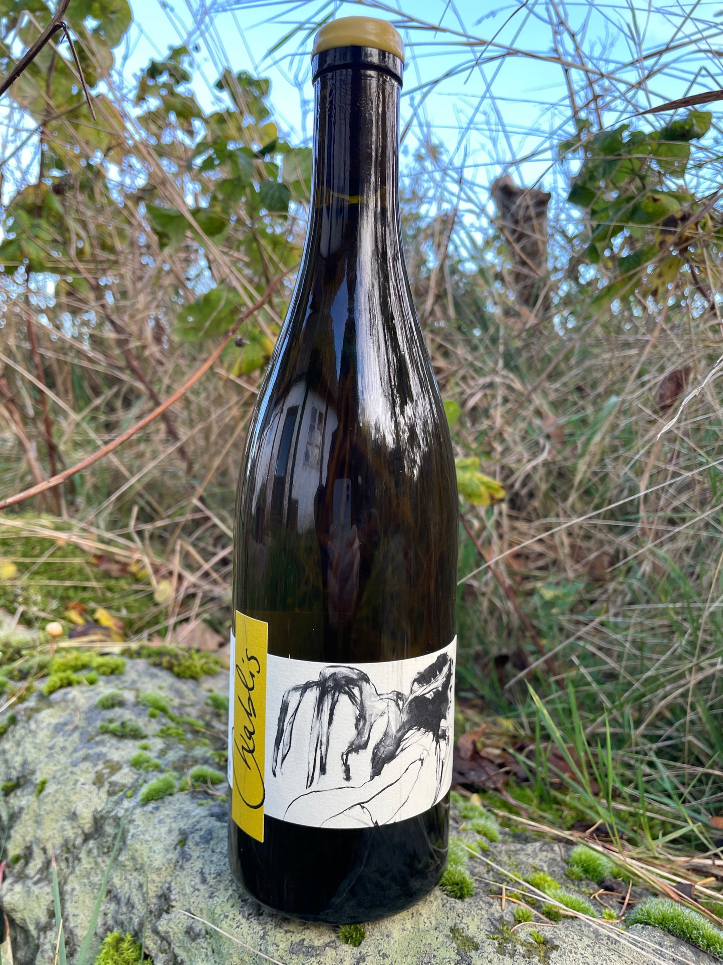 Shelf no. 117) Domaine Pattes Loup, Chablis 2022