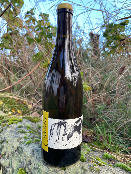 Shelf no. 117) Domaine Pattes Loup, Chablis 2022