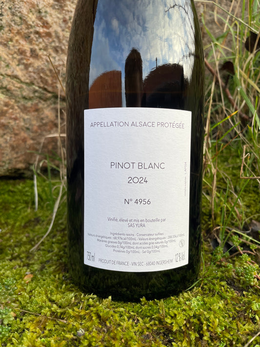 Jintaro Yura, L'Abeille et le Papillon 2024