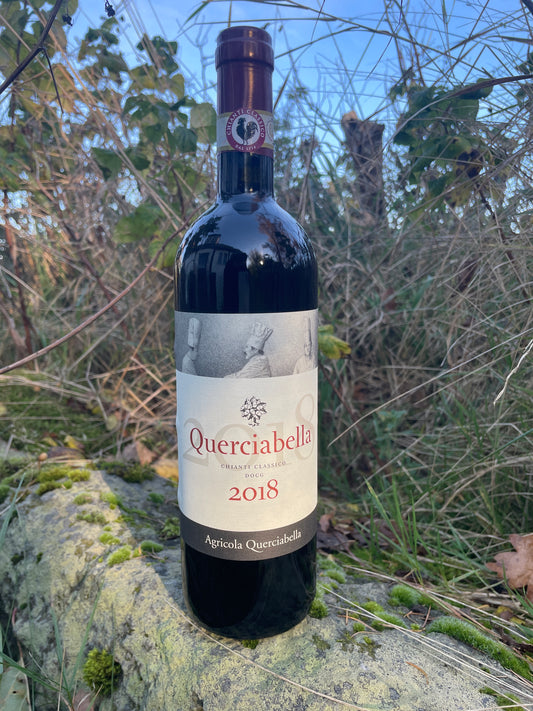 Shelf no. 137) Iuli, Umberta Barbera, 2023