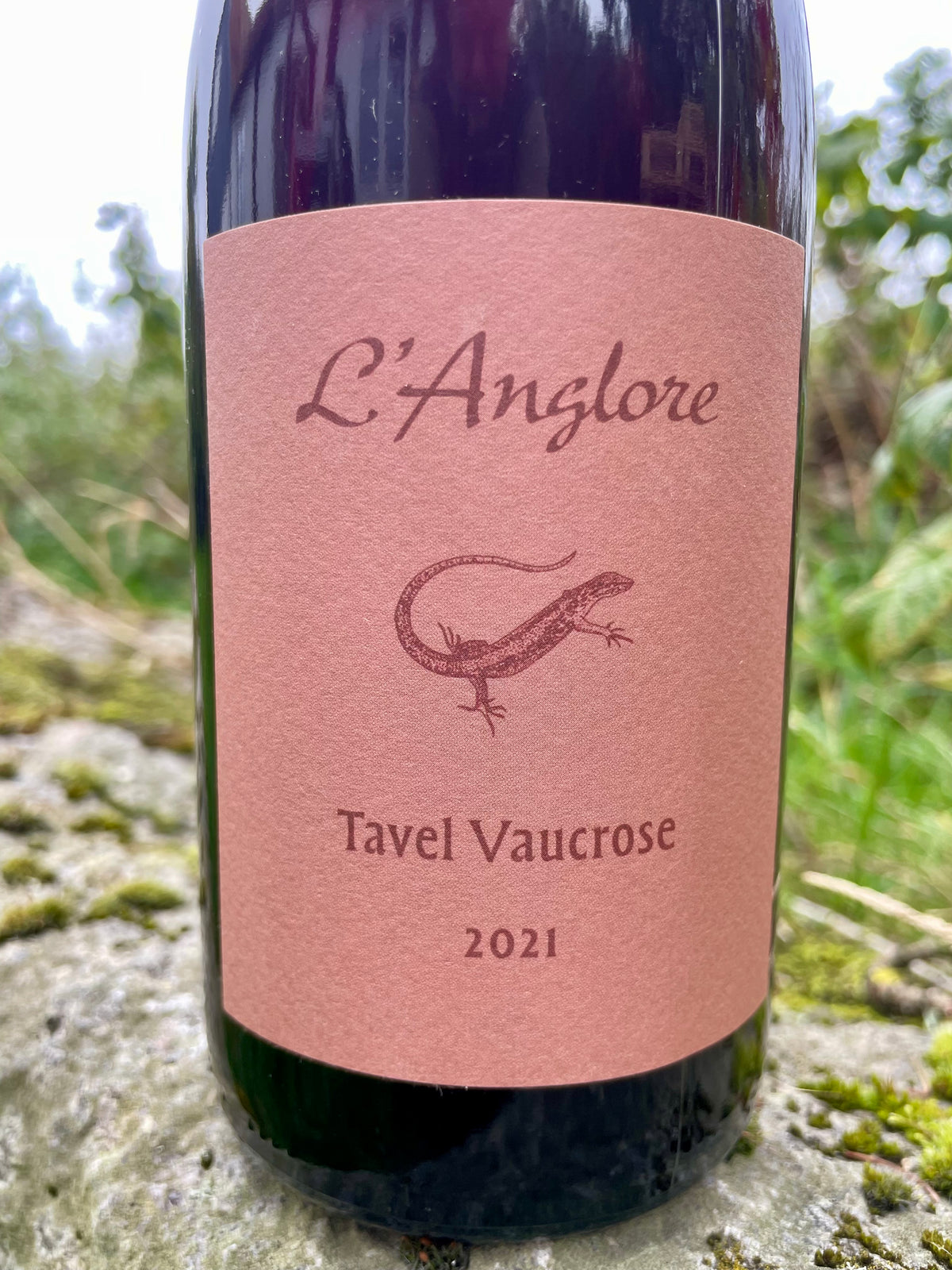 L'Anglore, Eric Pfifferling - Tavel Vaucrose 2021