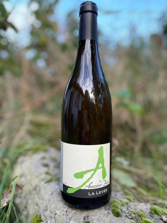 Alexandre Bain - La Levée VdF Blanc 2023