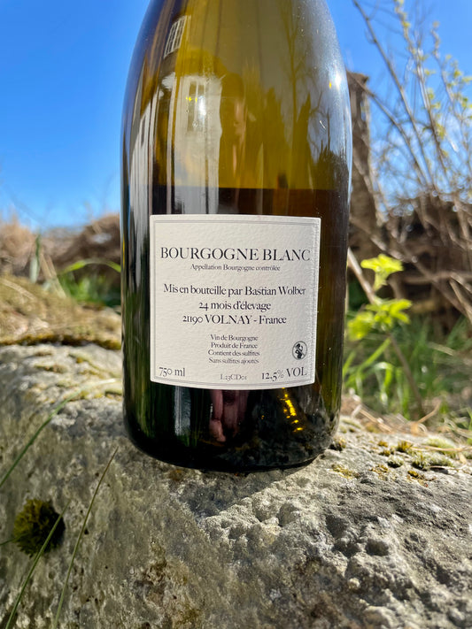 Bastian Wolber, Bourgogne Blanc 2023