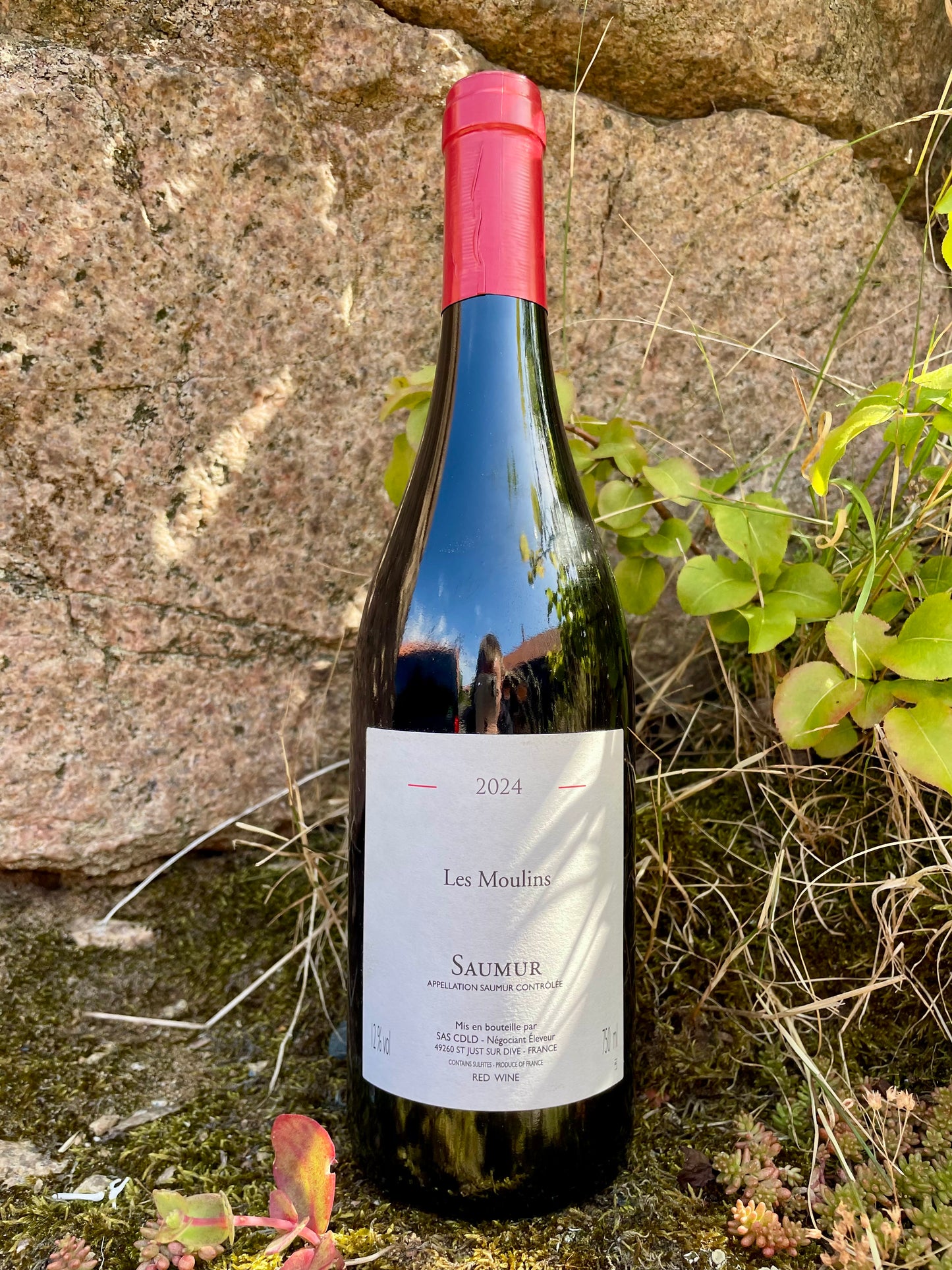 Guiberteau Négoce - Saumur Rouge Les Moulins 2024
