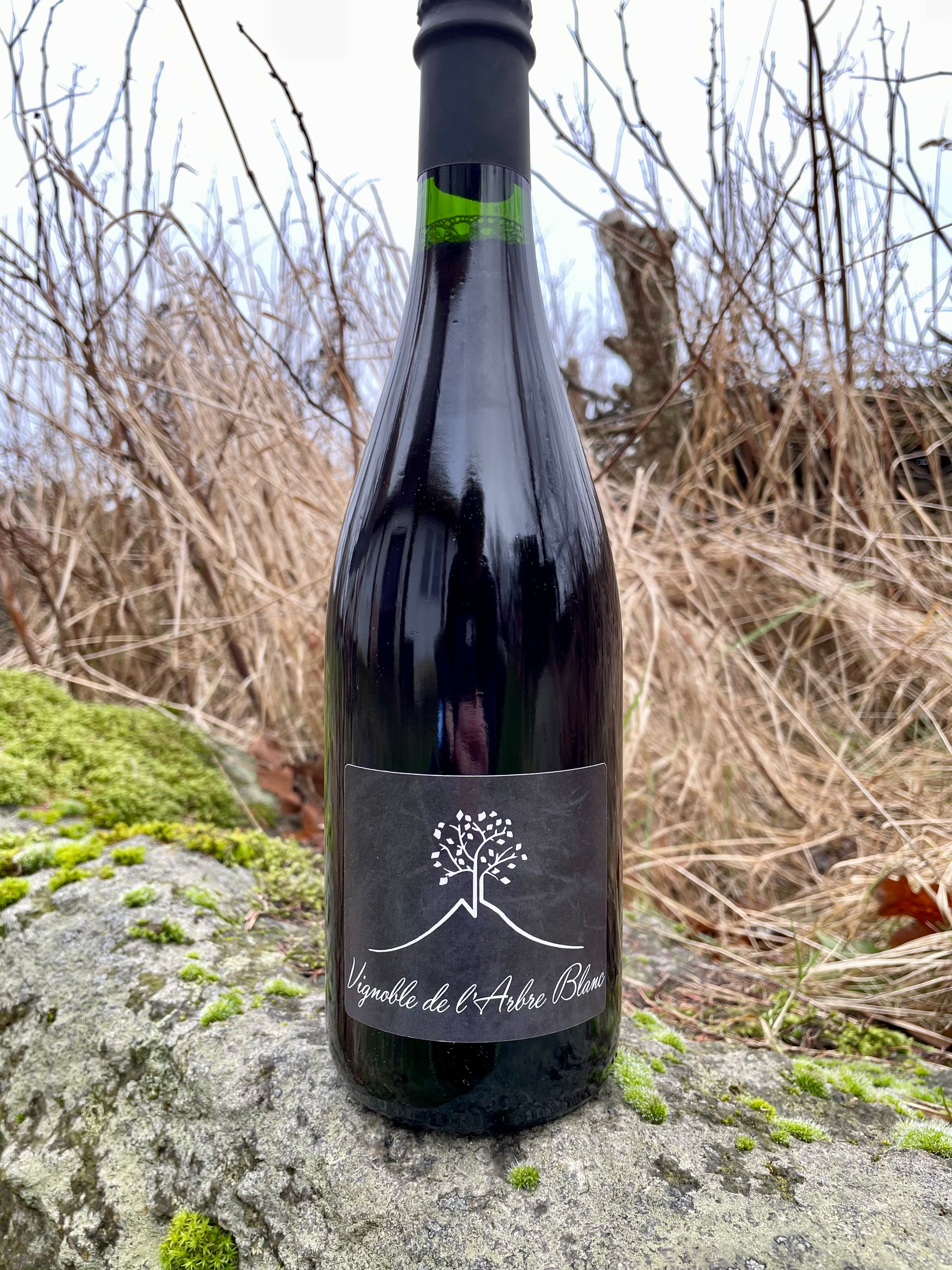 Vignoble de l'Arbre Blanc - Les Grandes Orgues '22 – Den
