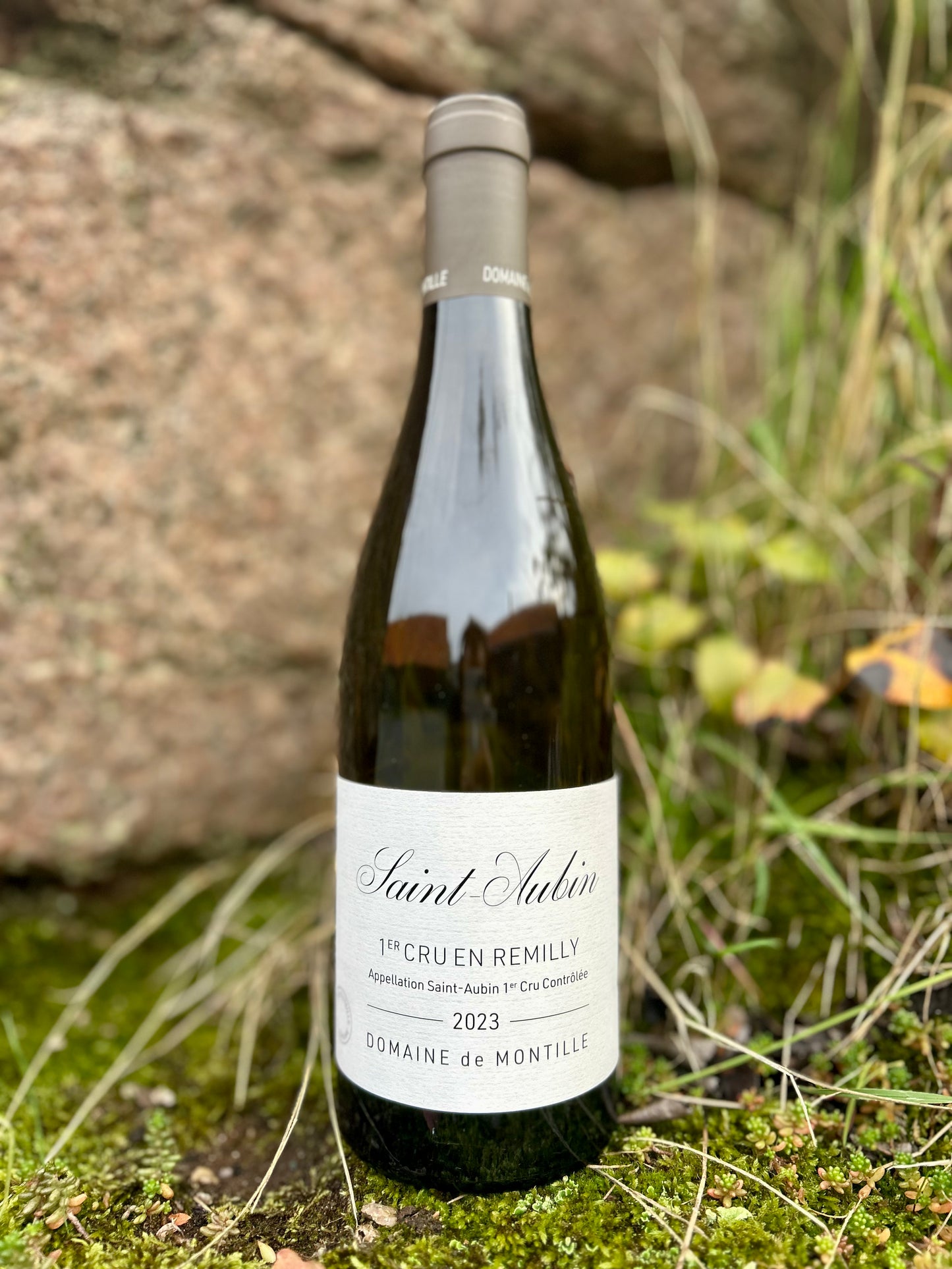 Domaine de Montille, Saint-Aubin 1er Cru, En Remilly 2023