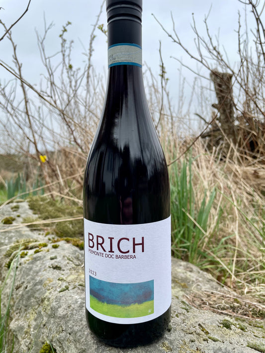 Agricola Gaia, Barbera - Brich '23