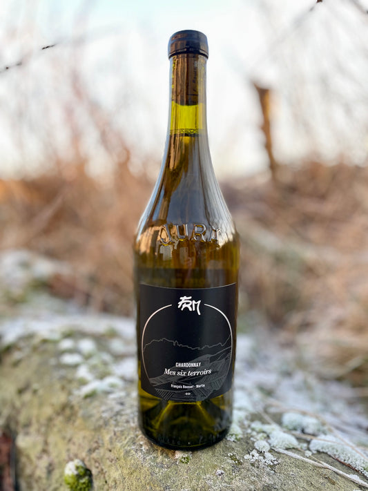 François Rousset-Martin, Chardonnay - Mes 6 Terroirs 2021