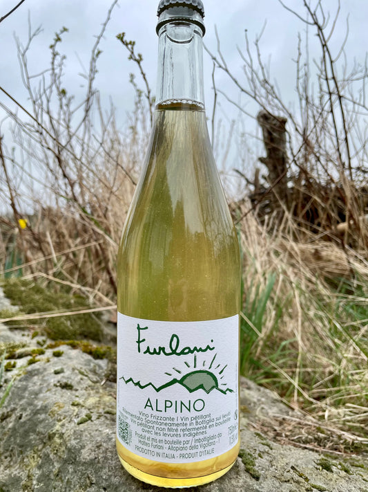 Hylde nr. 106) Cantina Furlani, Alpino '23