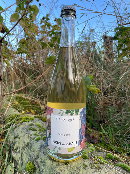 Shelf no. 124) Fuchs &amp; Hase, Pet. Nat.Vol. 1