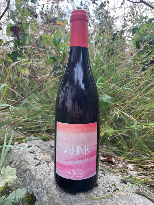 Domaine Bobinet - Aunis 2023