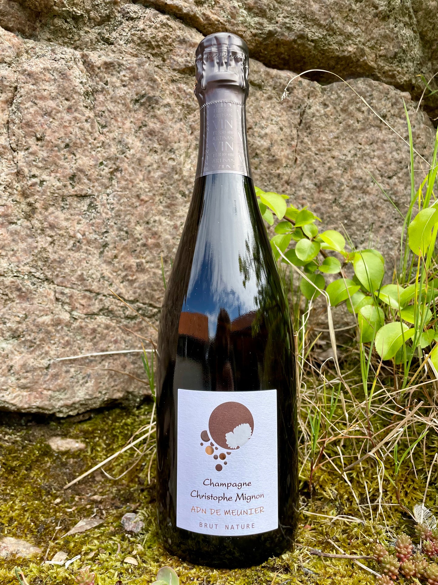 Hylde nr. 123) Christophe Mignon, ADN de Meunier Brut Nature N.V.
