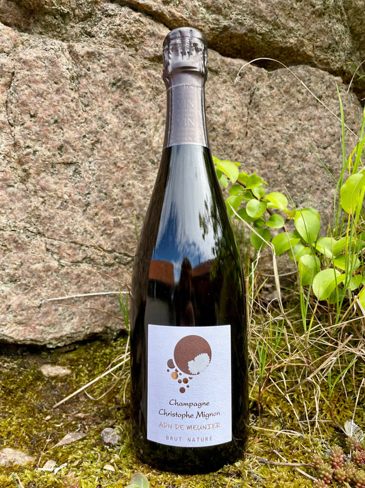 Hylde nr. 123) Christophe Mignon, ADN de Meunier Brut Nature N.V.