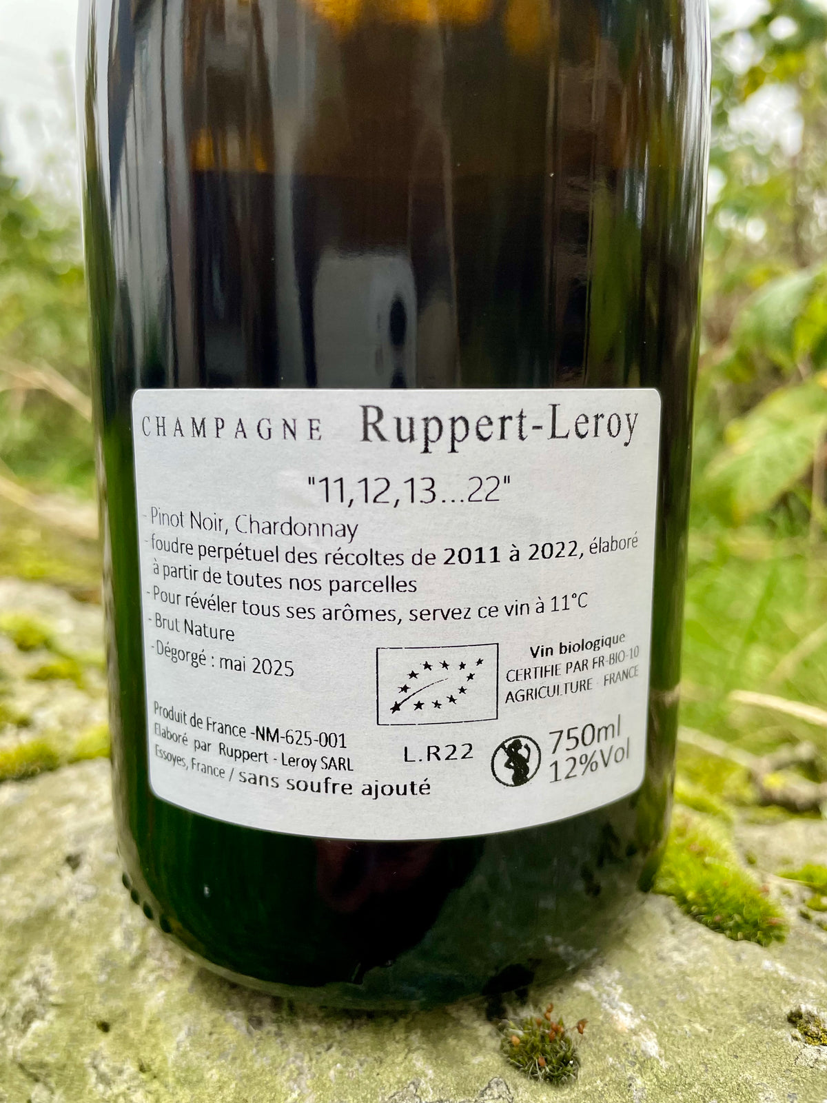 Ruppert-Leroy, 11,12, 13...2022