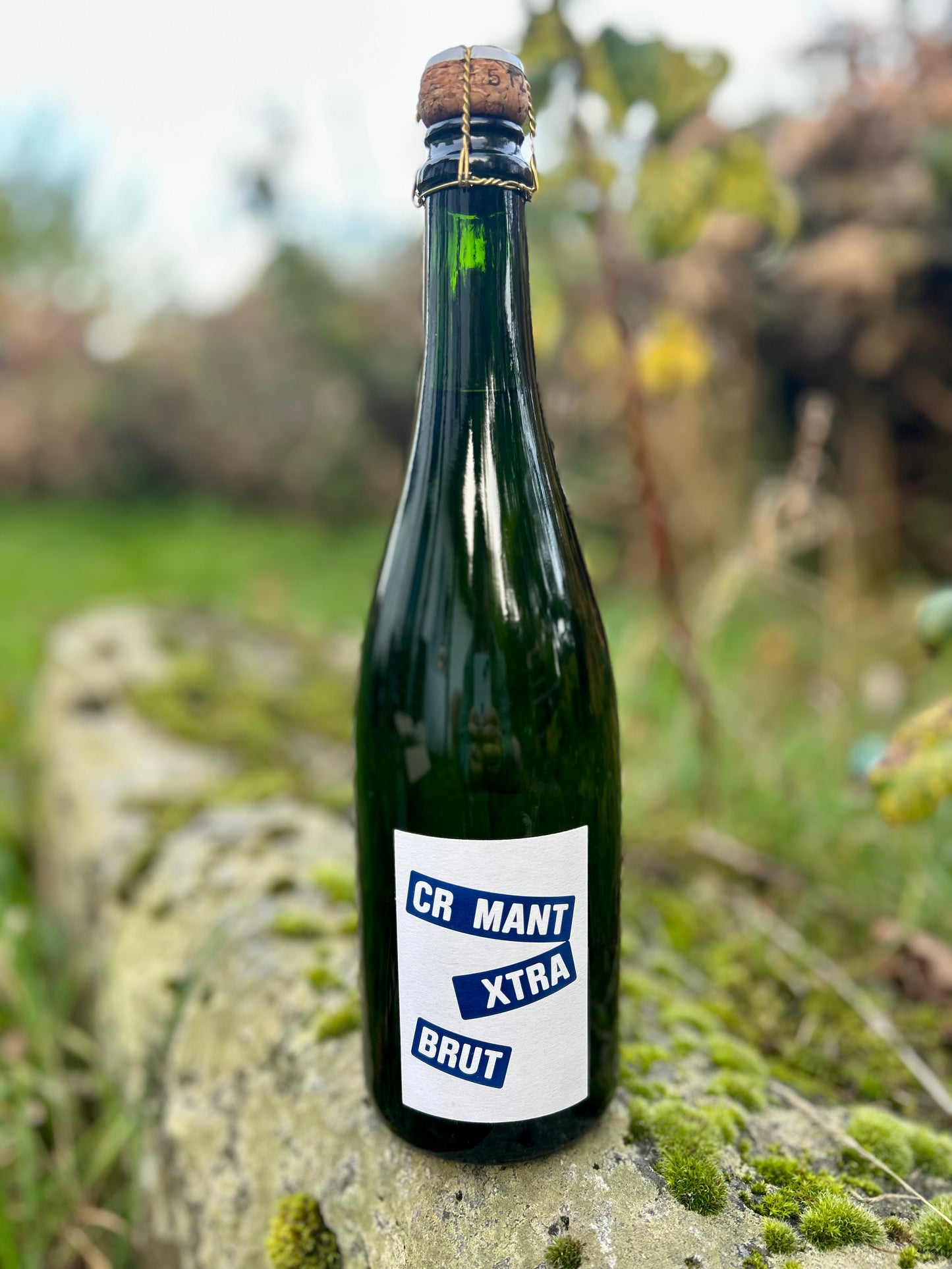 Pépin - Crémant d'Alsace 2024