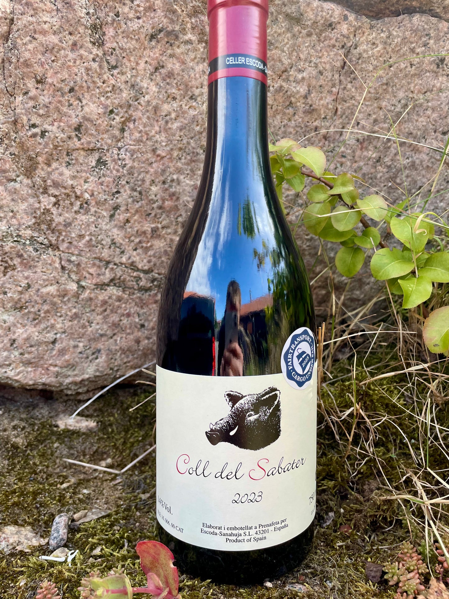 Escoda-Sanahuja, Coll del Sabater tinto 2023