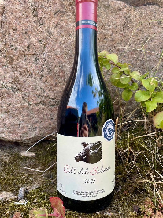 Escoda-Sanahuja, Coll del Sabater tinto 2023