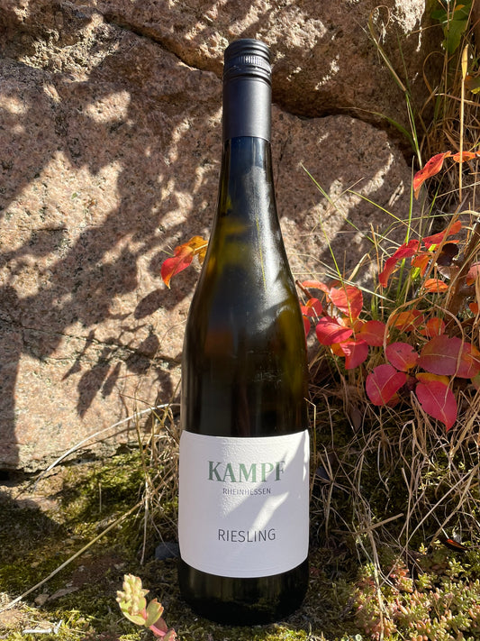 Weingut Kampf - Riesling Trocken 2024